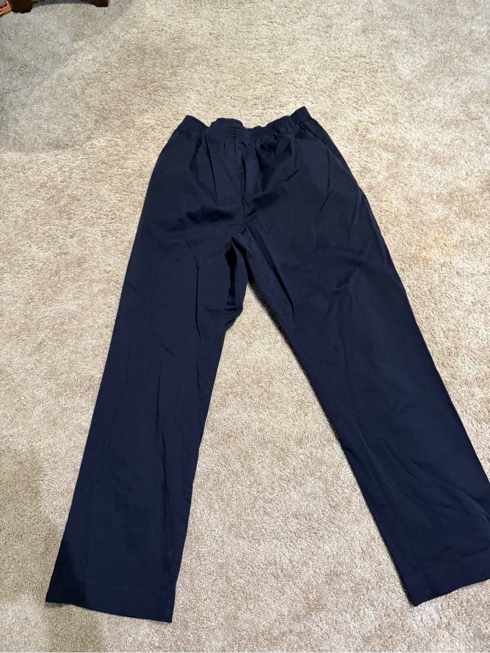 Alfred Dunner Navy Blue Flat Front Elastic Back Pull-On Pants 12